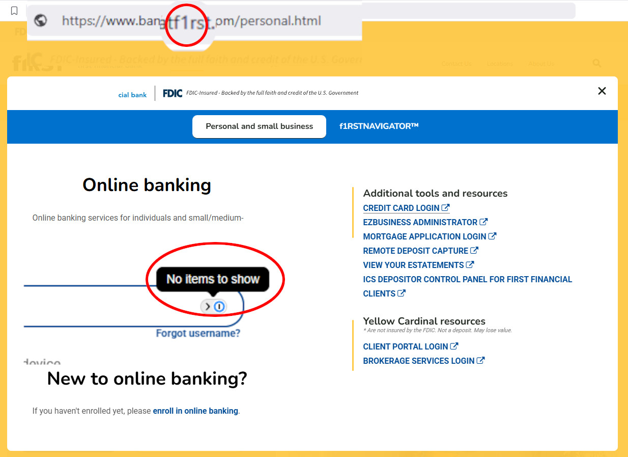 Browser screenshot showing a phishing website mimicking a bank login page with no password manager autofill prompt appearing